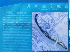 -金鸡岭桥头公园