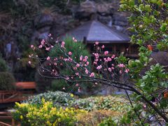 -上海吴淞炮台湾国家湿地公园