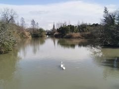 -上海野生动物园