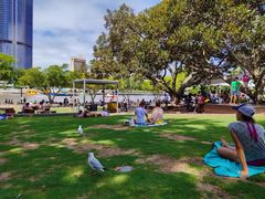 -布里斯班南岸公园