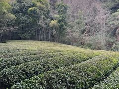 -敬亭山风景名胜区