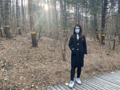 -帽儿山国家森林公园