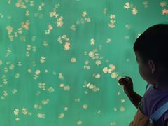 -芜湖新华联大白鲸海洋公园