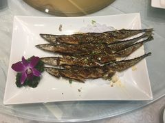 -宝宇大连海鲜渔港(金奎大厦店)