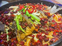 -老板恋上鱼(恒隆广场店)