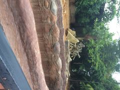 河川生态园-河川生态园