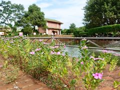 -侯臣咖啡文化村