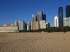 -海云台海滩