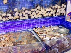 水产区-乔哥铭洋海鲜自助(皇城恒隆广场店)