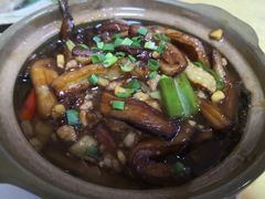 咸鱼茄子煲-思远客家菜馆(巴伐利亚店)