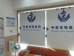-申普宠物医院·眼科·心内科·影像科(普陀分院)