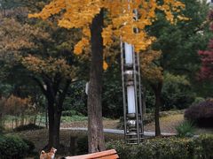 -蜀冈西峰生态公园