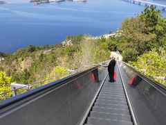 -千岛湖天屿景区