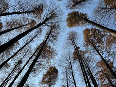 -山王坪喀斯特国家生态公园