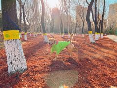 -太阳宫足球俱乐部