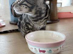 -Me Coffee下午茶艺术空间