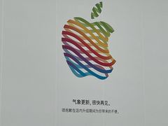-Apple零售店(华贸购物中心店)