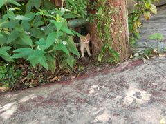 -敬亭山风景名胜区