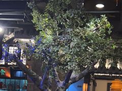 -绿茶餐厅(燕郊永旺店)