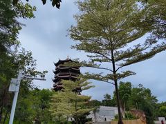 -八仙山公园