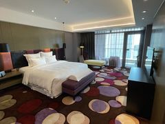 -南京禄口机场雅高铂尔曼大酒店