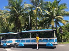 -三亚亚龙湾天域度假酒店