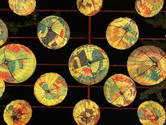 -北京园博大酒店