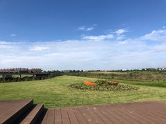 -空港花田景区