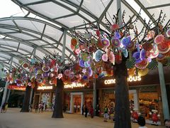 -新加坡水上探险乐园