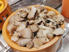 -龍歌自助小火锅(市北CBD万达店)