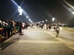 -迪士尼乐园停车场