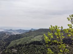 -大芦花风景区