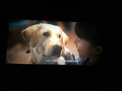 -金逸影城(光美嘉瑞宝MX4D店)