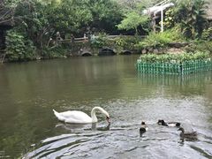 -呀诺达热带雨林
