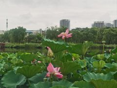 -西海子公园