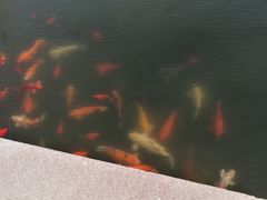 -上海大学宝山-图书馆