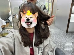-Tloml salon