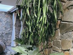 -陈熹公民族美食文化餐厅(中华广场店)