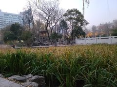 -莲湖公园