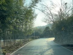 -莫干山风景区