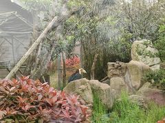 -合肥野生动物园