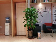 -乌鲁木齐天山国际机场-T3航站楼