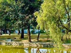 -人民公园(罗湖区)