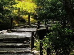 -天龙寺