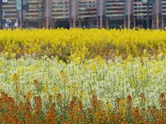 -中国天府农业博览园