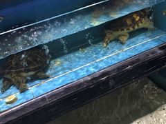 -渔傅·蓝海岸霞浦海鲜(正祥店)
