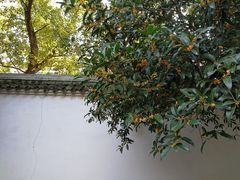 -蒋氏故居