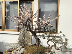 -无锡梅园公园