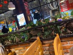 -老五烧烤(石牌岭店)
