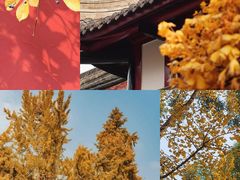 -成都市文殊院